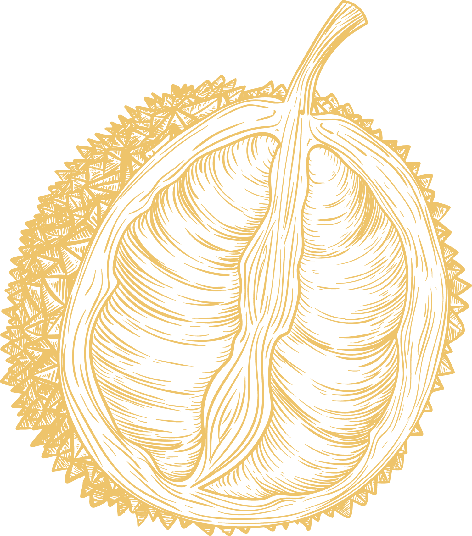 Super Star Durian Half Durian