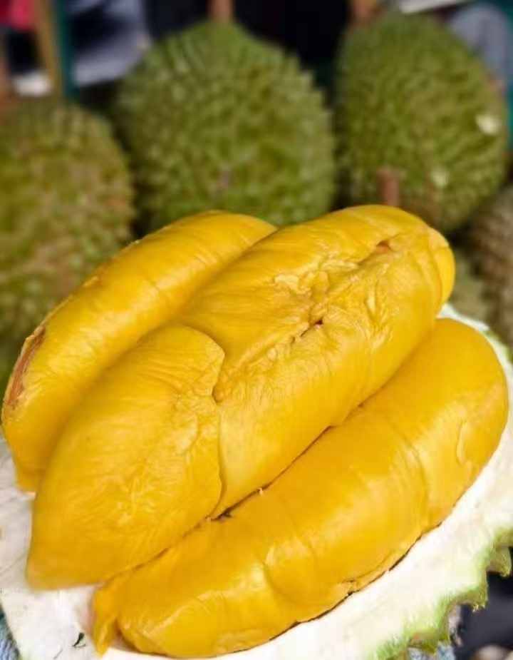 Musang King durian